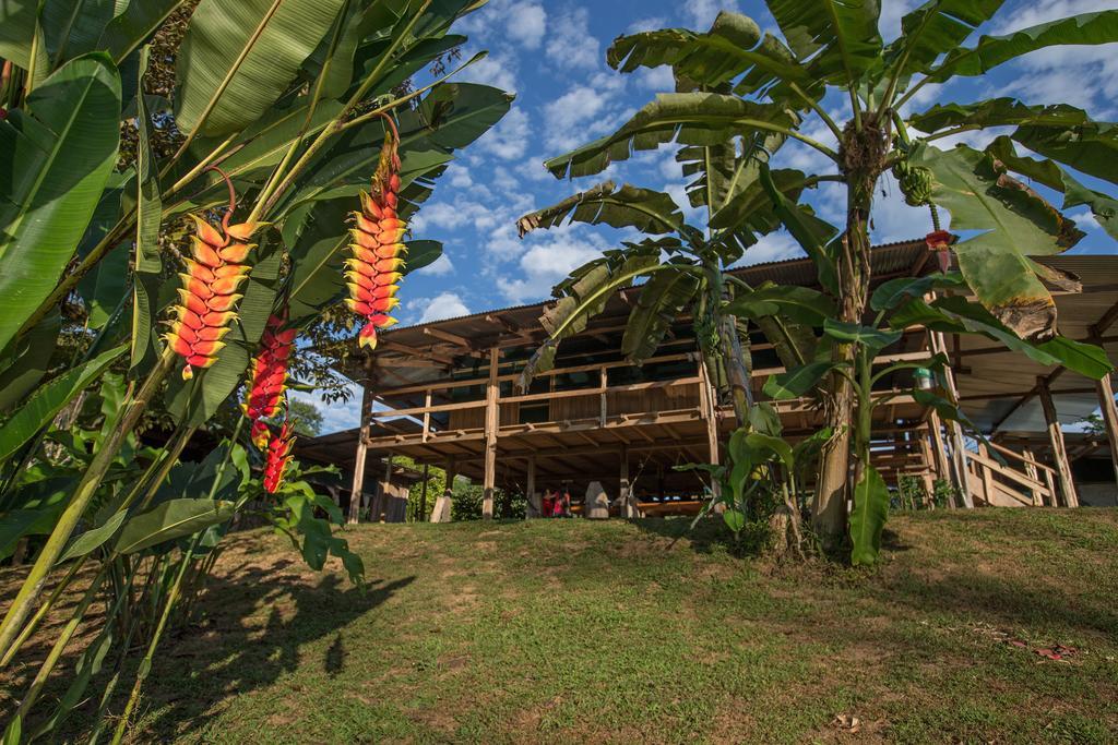 Landhuis La Laguna Puerto Jiménez
